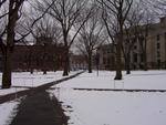 Harvard Law School Yard